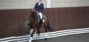 В Ярославле стартовал Кубок Города по конному спорту