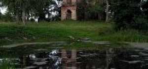 В Ярославской области появились новые памятники природы