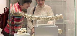 Ярославцам предложили отправиться в тундру