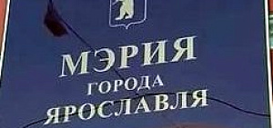 Управление по физической культуре и спорту мэрии Ярославля возглавил Илья Тюрганов