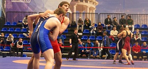 Четверо ярославских борцов завоевали путевки на чемпионат России