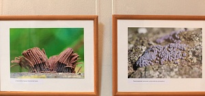 Ярославцам показали «Неизвестную жизнь»