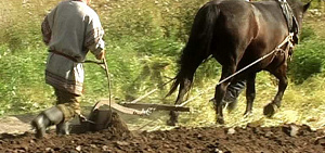 России верные сыны