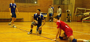 «Ярославские медведи» заблудились в Сосновом Бору