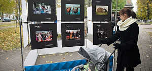 В Ярославле на деревьях развесили фотографии В Ярославле на деревьях развесили фотографии