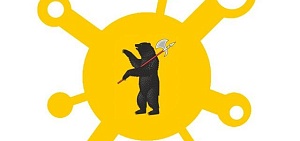 В Ярославской области госпитализировали пациентку с коронавирусом из другого региона