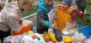 Этой ярмарки краски