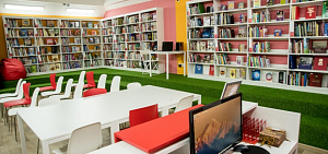 Две библиотеки Ярославля претендуют на федеральную поддержку