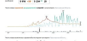 Коронавирус в Ярославской области: выздоровевших опять больше, чем заболевших Коронавирус в Ярославской области: выздоровевших опять больше, чем заболевших