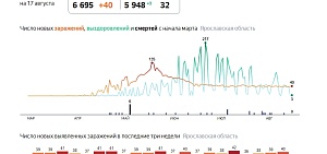Коронавирус в Ярославской области: трое выздоровевших, сорок заболевших