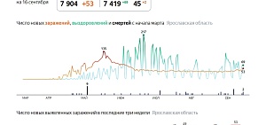 В Ярославской области две новых смерти от коронавируса