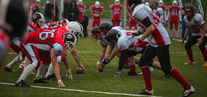 Низвержение столичных «рептилий»