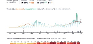 Число жертв коронавируса в Ярославской области превысило 90 человек Число жертв коронавируса в Ярославской области превысило 90 человек