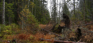 К героям поэта - в гости!  