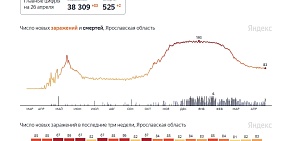 Коронавирус в Ярославской области: опять двое умерли