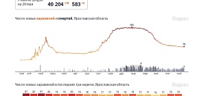 Коронавирус в Ярославской области: второй день подряд одинаковое число и умерших, и заболевших