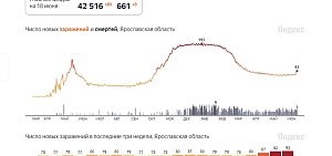 Коронавирус в Ярославской области: начинается новая волна заболевания?