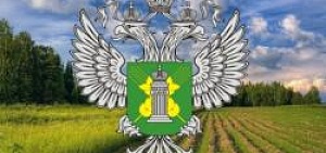 При проведении плановой выездной проверки ветеринарной аптеки выявлены нарушения лицензионных требований
