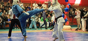 Жаркие схватки