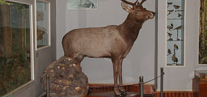 Как два пожара