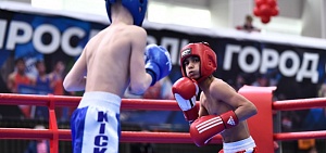 В Ярославле стартовало первенство ЦФО по кикбоксингу