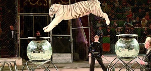 Праздник взрослых и ребят