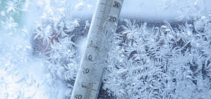 Понедельник для начальной школы в Ярославле станет неучебным днем