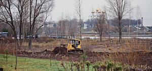 Парк в пойме Которосли Ярославля очистили от засохших деревьев