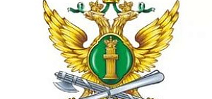 В Ярославле судебные приставы силой выселили из квартиры бывшую хозяйку, продавшую жилье