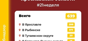 Из-за жары в Ярославской области активизировались клещи