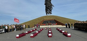 Обнаружены и опознаны останки двух уроженцев Ярославской области, погибших под Ржевом