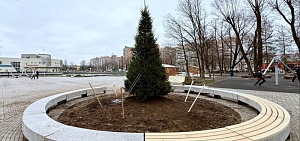 В парке 30-летия Победы Ярославля посадили 4-метровую ель