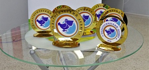 Победителем регионального этапа всероссийского конкурса «Педагогический дебют» стала учитель из Ростова Великого