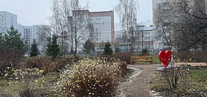 Около ярославской школы появилась экотропа