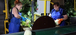 Третий агроагрегатор в Ярославской области начал сотрудничество 