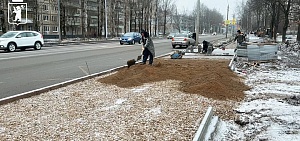 На улице Труфанова в Ярославле обустроят три остановочные площадки