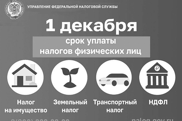 Заплати налоги  и живи спокойно