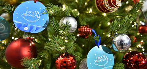 Ярославский губернатор исполнит желание ребенка из подшефного Акимовского округа