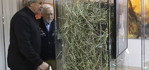 В Ярославле начался сенокос