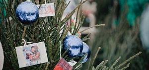 Стали известны адреса елочных базаров Ярославле