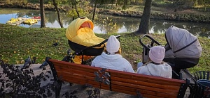 Более 500 тысяч жителей Ярославской области за год получили меры соцподдержки