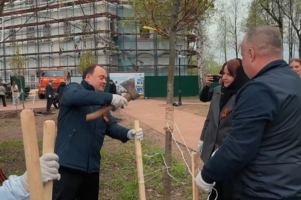Мэр Ярославля Артем Молчанов посадил молодые вишни