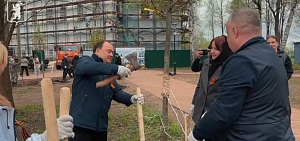 Мэр Ярославля Артем Молчанов посадил молодые вишни