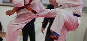 В Ярославле пройдут соревнования по всестилевому каратэ