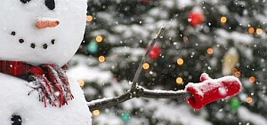 В Ярославле объявлен день добра